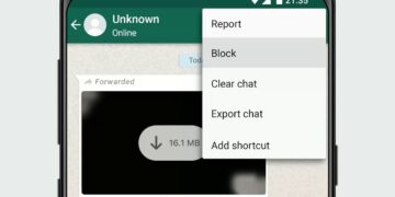 Trucuri WhatsApp: cum știi dacă te-a blocat cineva și ce poți face în legătură cu asta